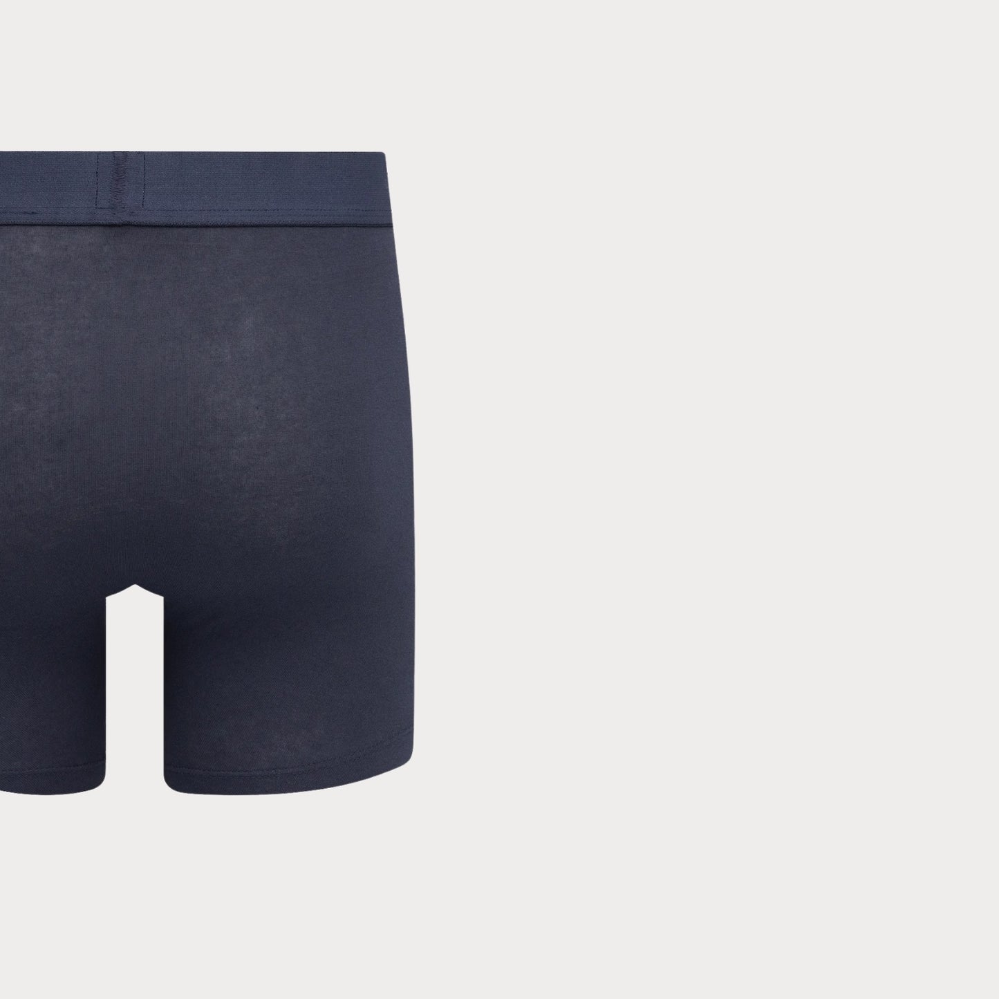 Трусы Wstrn Icon Aop Boxer Brief