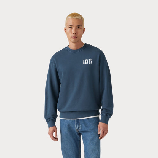 Свитер Relaxd Graphic Crew Sweatshirt