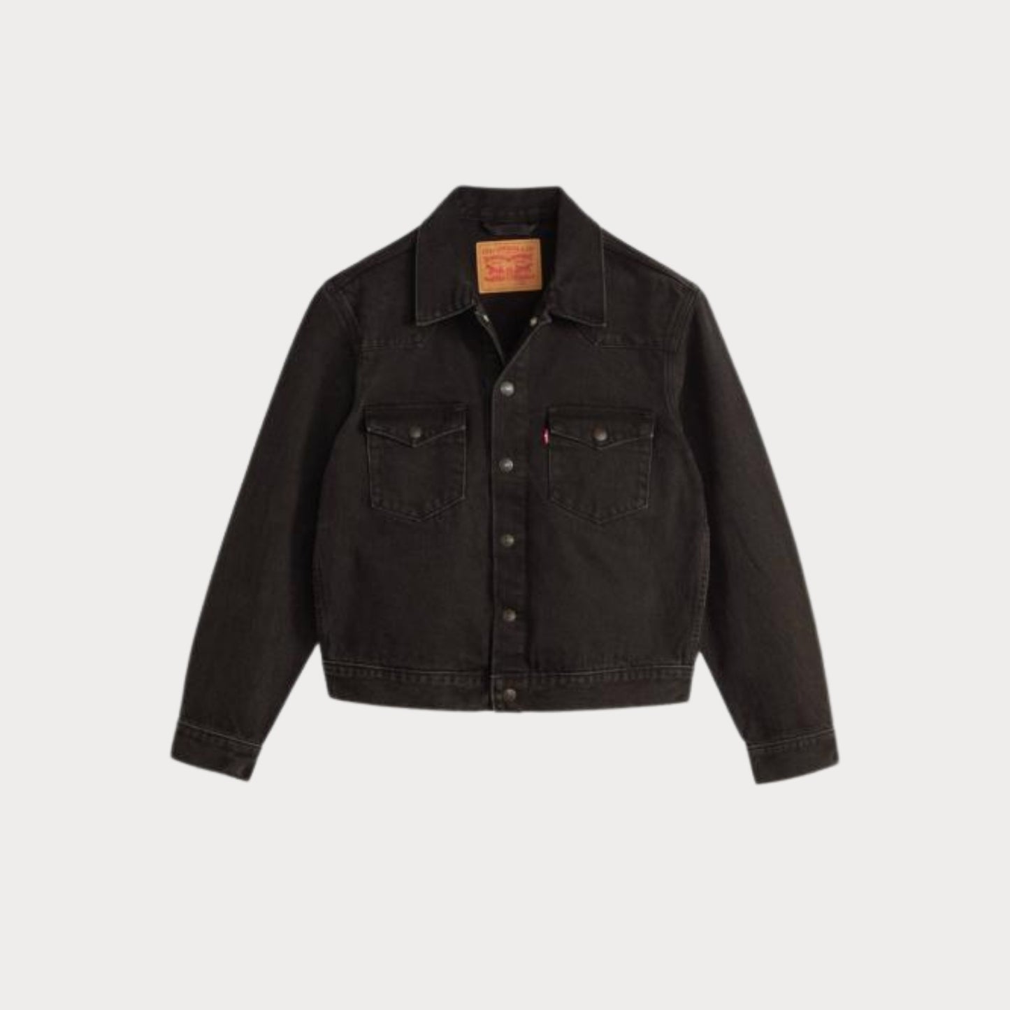 Куртка WESTERN TRUCKER T3 MIDNIGHT IN OAKLAND