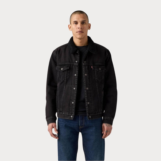 Куртка Type 3 Sherpa Trucker