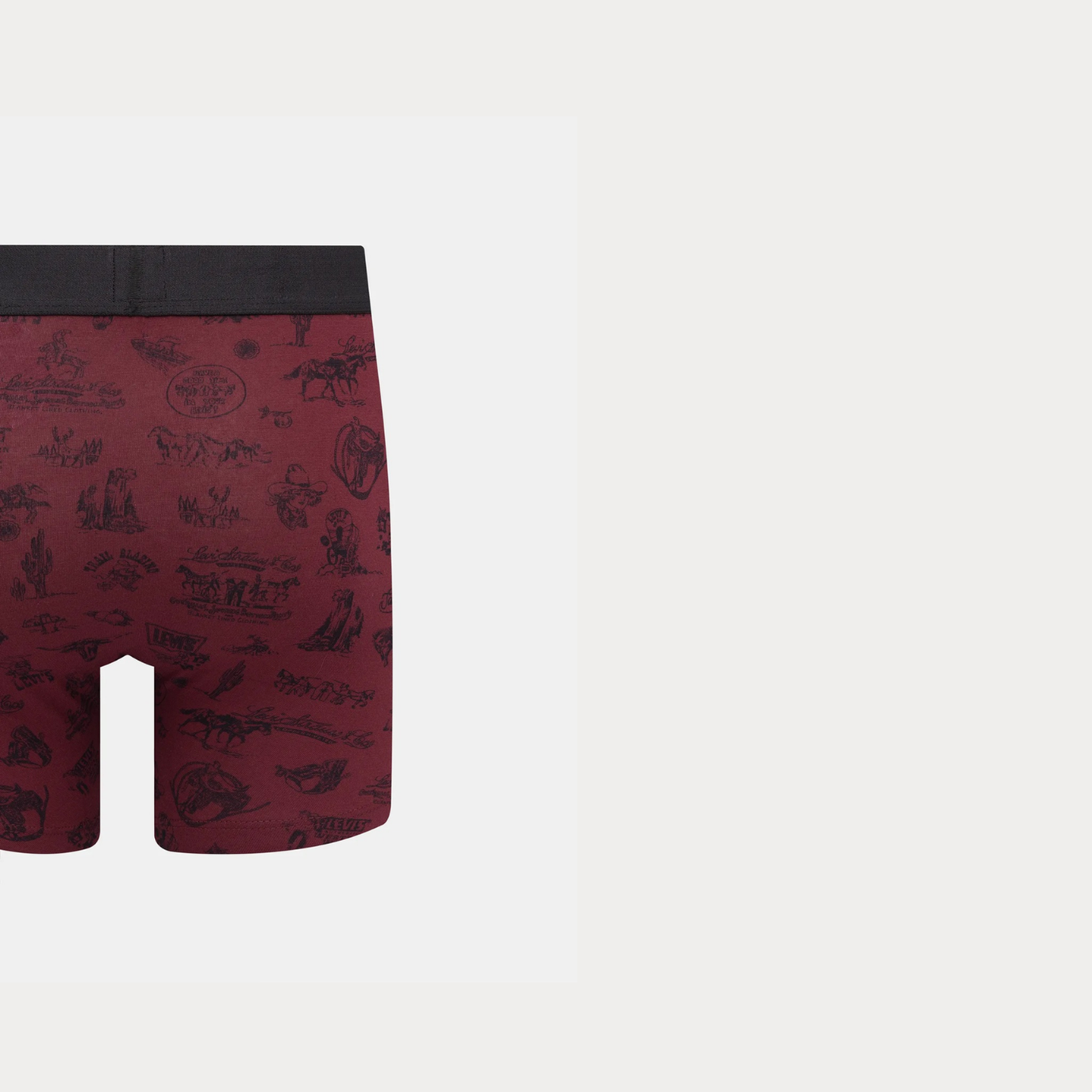 Трусы Wstrn Icon Aop Boxer Brief