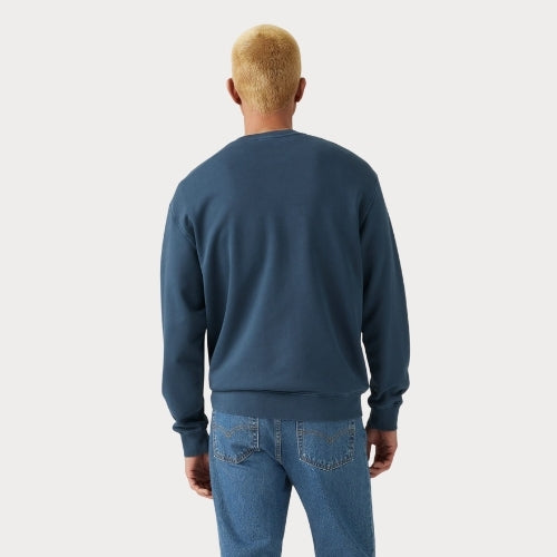 Свитер муж.RELAXD GRAPHIC CREW DISTRESSED SERIF 1