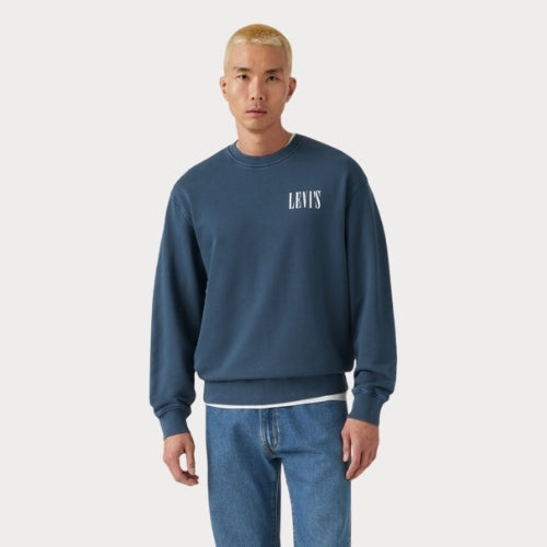 Свитер муж.RELAXD GRAPHIC CREW DISTRESSED SERIF 1