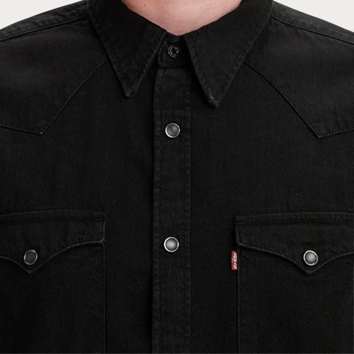 Рубашка Barstow Western Standard Shirt