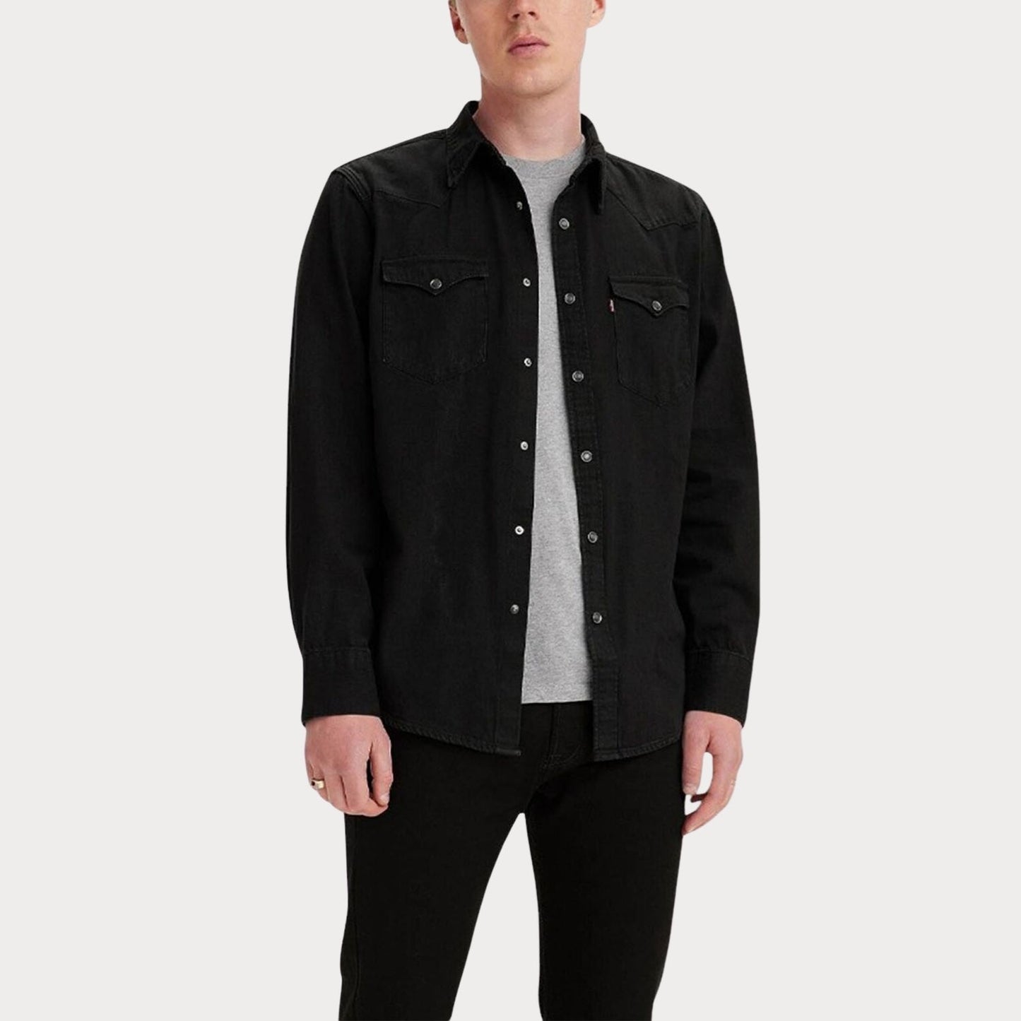 Рубашка Barstow Western Standard Shirt